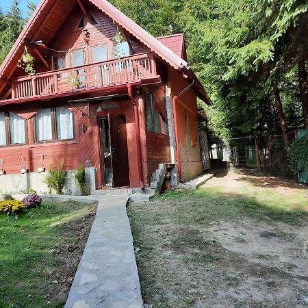 Vila Casuta Paterau Cheia, Prahova Cheia  Exteriér fotografie