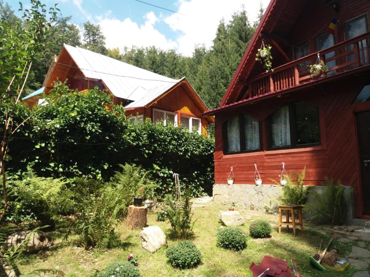 Vila Casuta Paterau Cheia, Prahova Cheia  Exteriér fotografie