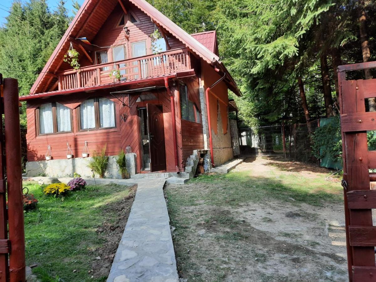 Vila Casuta Paterau Cheia, Prahova Cheia  Exteriér fotografie