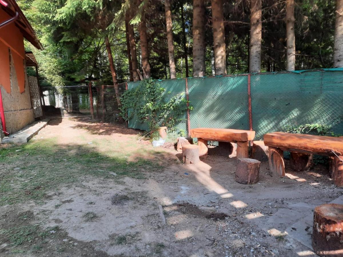 Vila Casuta Paterau Cheia, Prahova Cheia  Exteriér fotografie